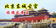 使劲操中国北京-东城古宫旅游风景区
